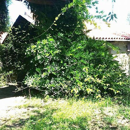 Quinta De Abol De Baixo Hotel Entre-os-Rios Exterior photo